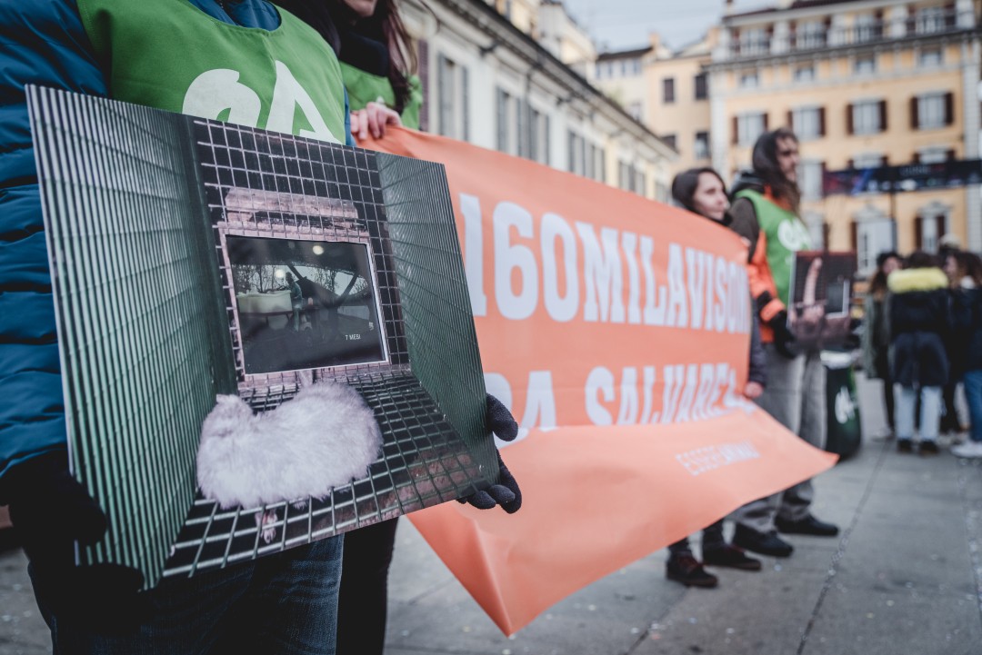 Animalisti in Corso Zanardelli per sensibilizzare le forze politiche sull'uccisione dei visoni, foto: Essere Animali