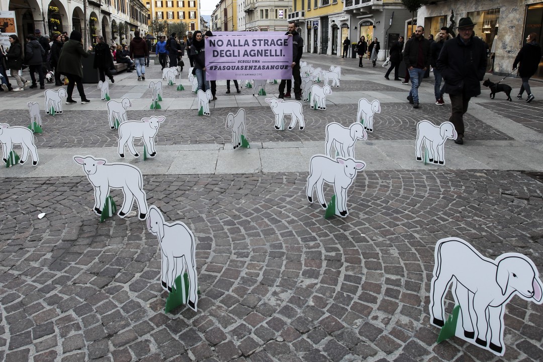 Brescia, protesta degli animalisti in Corso Zanardelli