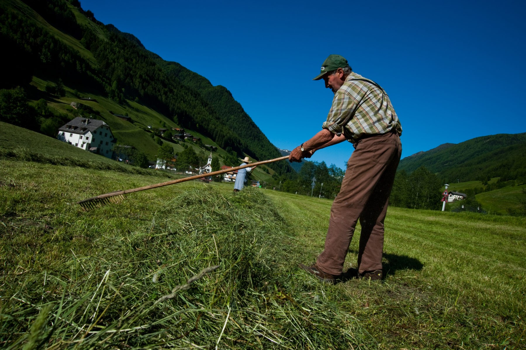 Agricoltura, nel primo trimestre si consolida la ripresa. Ma preoccupa il costo delle materie prime