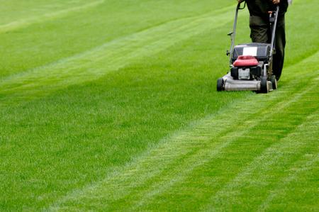 Vegetazione incolta a Castegnato: sanzioni a chi non fa manutenzione