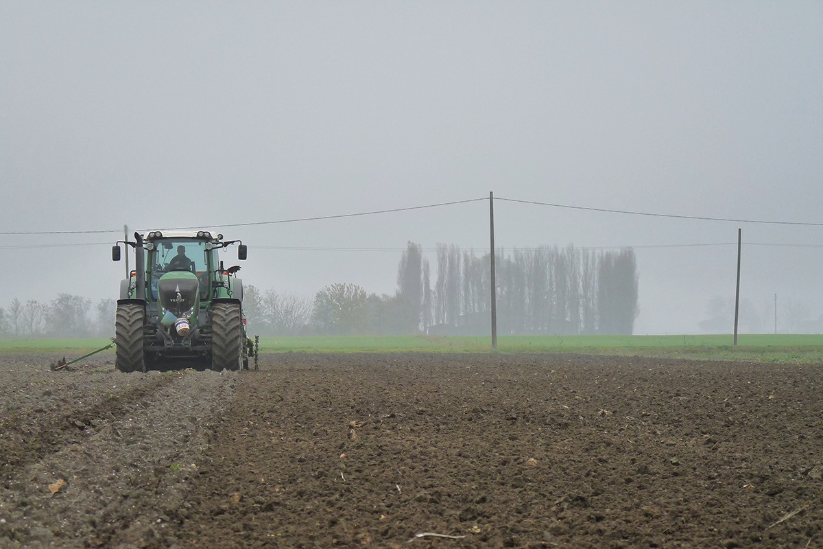 Borgosatollo, investito dal fratello mentre dorme nel campo