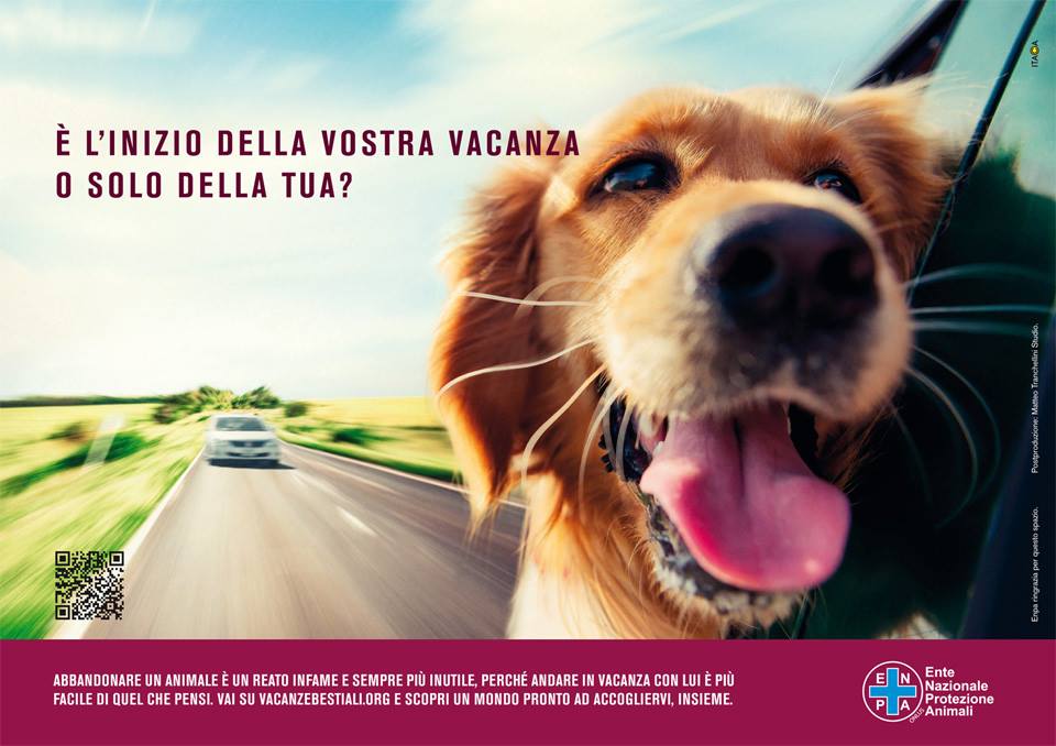 No all’abbandono estivo dei cani: sabato il banchetto di Enpa