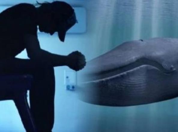 Blue Whale fa paura, i magistrati: è istigazione al suicidio