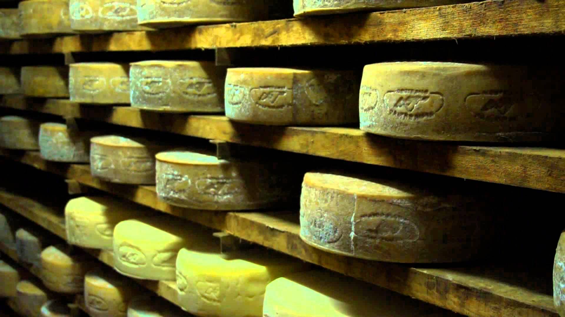 Formaggio Nostrano della Valtrompia, è il momento del fieno Dop