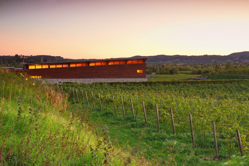 Franciacorta in cantina, Barone Pizzini propone un percorso bio