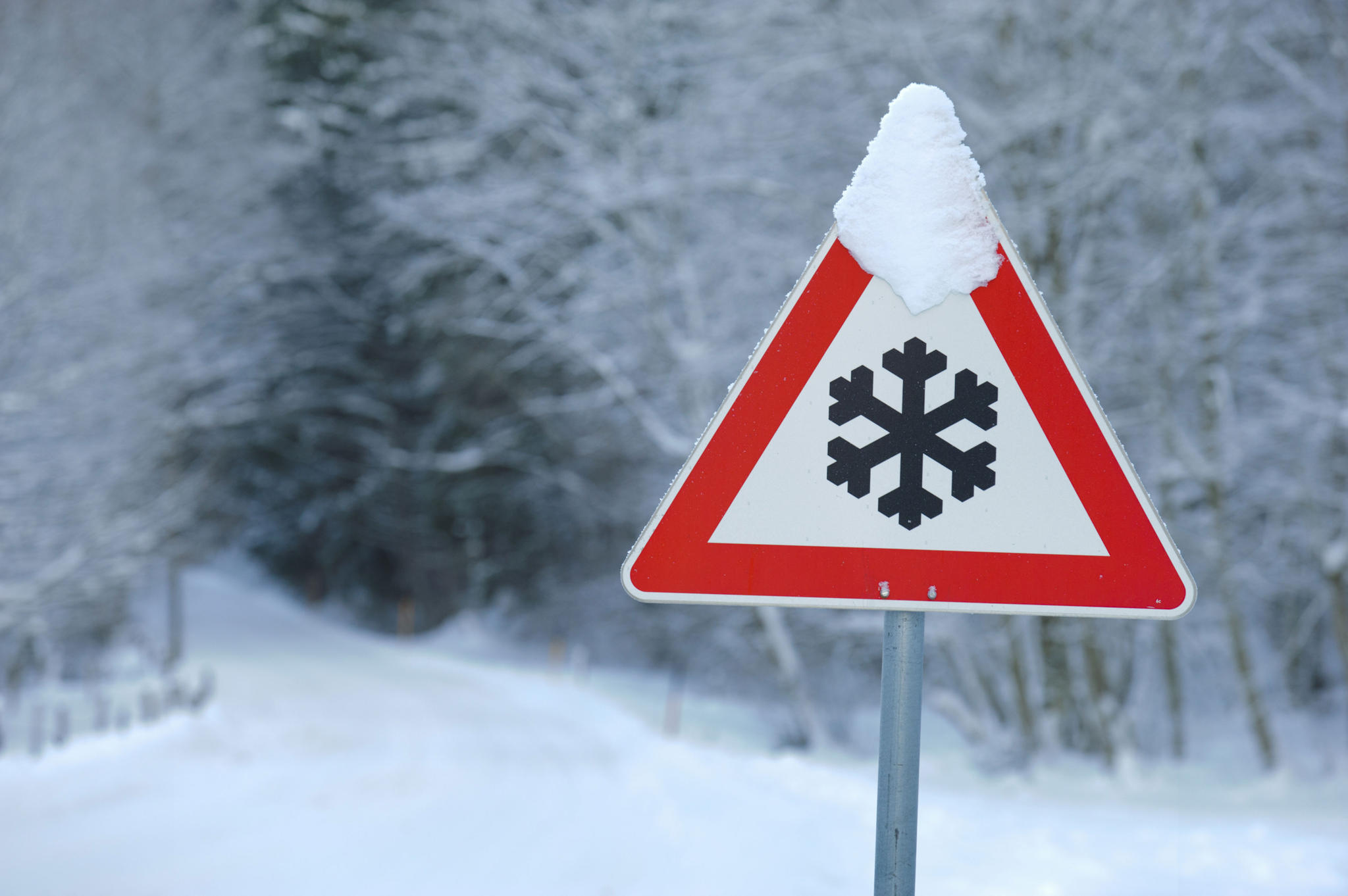 Camion si ribalta, i liquami invadono il campo innevato