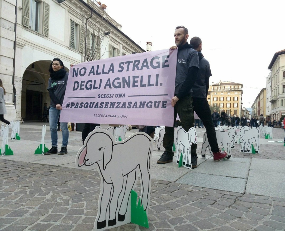 Brescia, Corso invaso dagli agnelli per fermare la “strage di Pasqua”