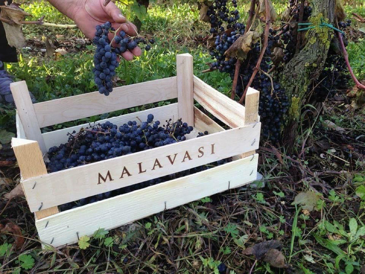 Torino, lo chef stellato festeggia il compleanno con il vino di Malavasi