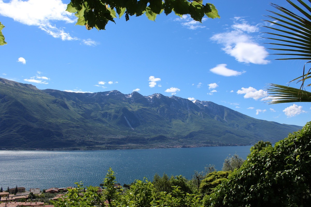 Piante, fotografie e sostenibilità: ecco i prossimi eventi di Lacus sul Garda