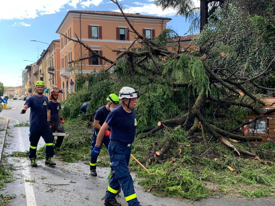 ▼ Ancora Maltempo: forti raffiche di vento e alberi abbattuti nel Bresciano