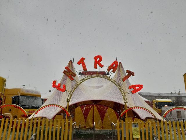 🔴 Il Circo Grioni al freddo e sommerso d’acqua: continua l’emergenza