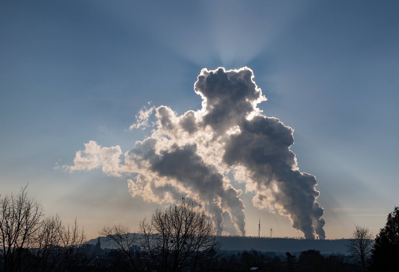 Fridays for future, il 23 anche Brescia in sciopero contro la crisi climatica