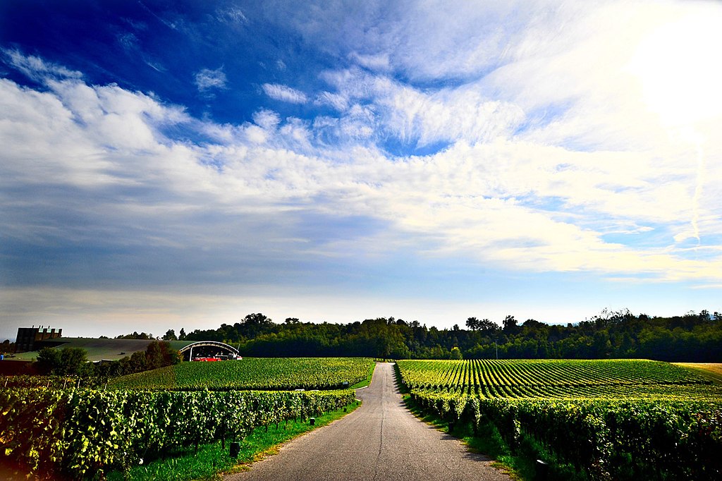 Turismo, la Guida Michelin 2022 sceglie la Franciacorta