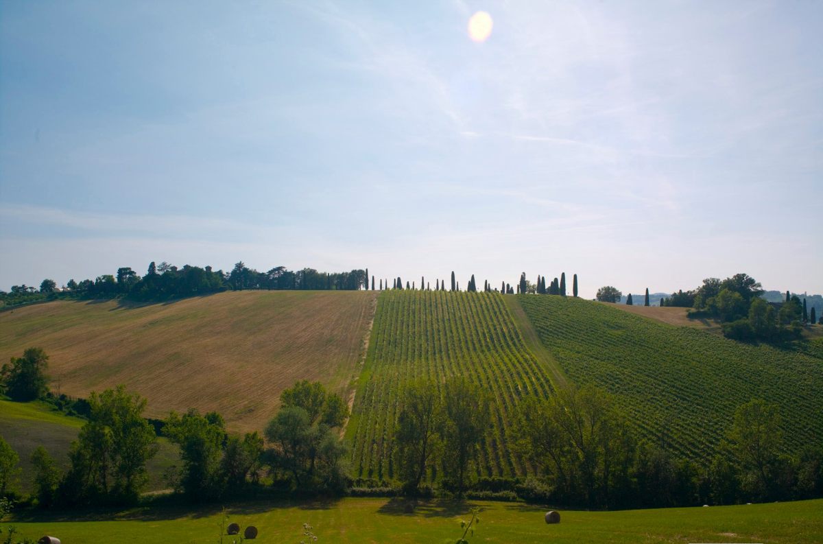 Agriturismo, strutture in aumento anche nel 2020