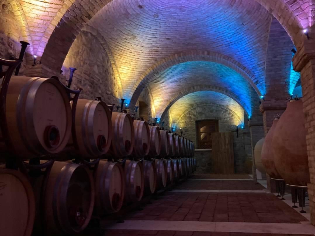 🍷 Vino, per Borgo La Caccia un 2021 da brindisi: vendite cresciute del 60%