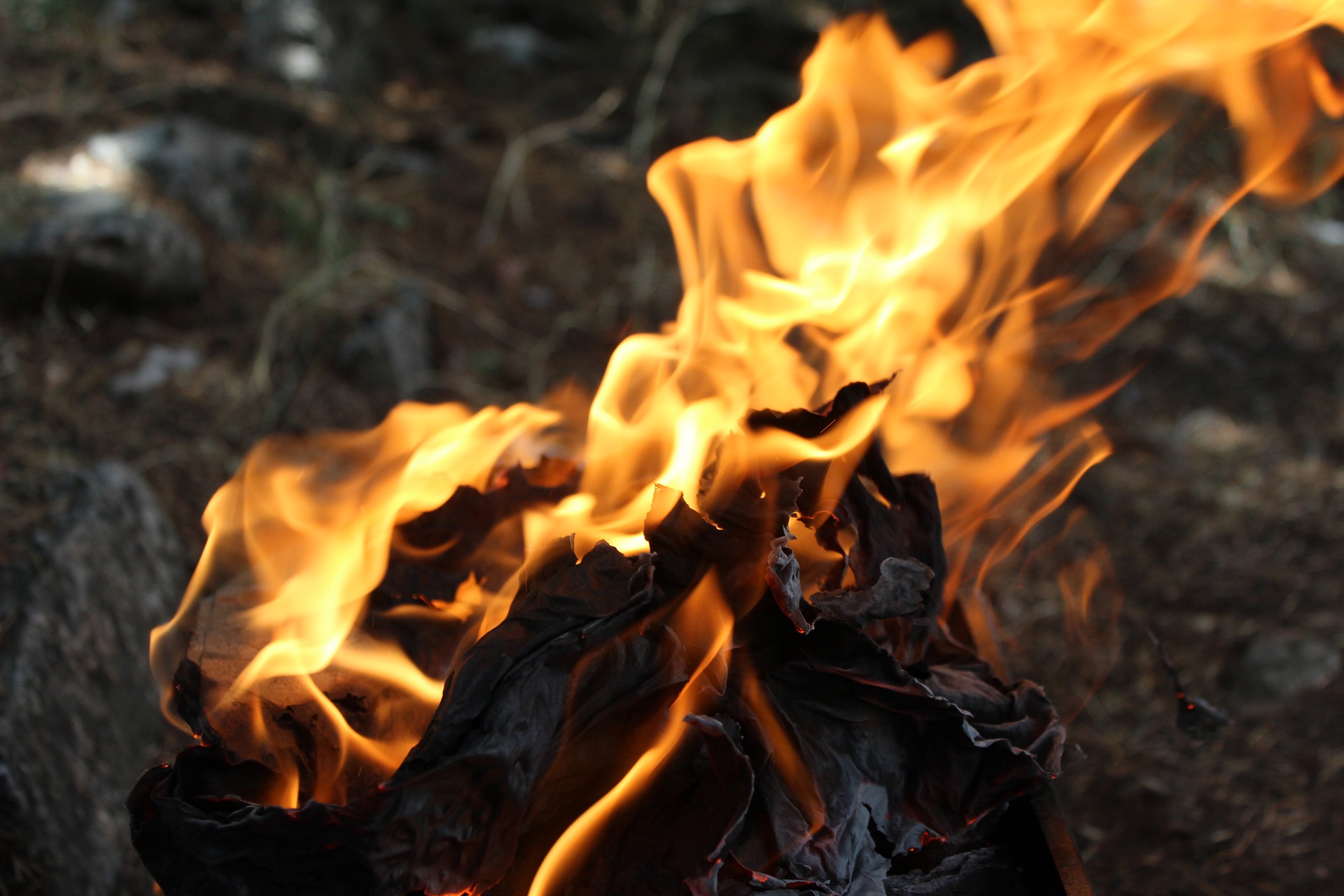 🔴 Valsabbia, è doloso l’incendio sulla Corna Blacca: trovati diversi inneschi