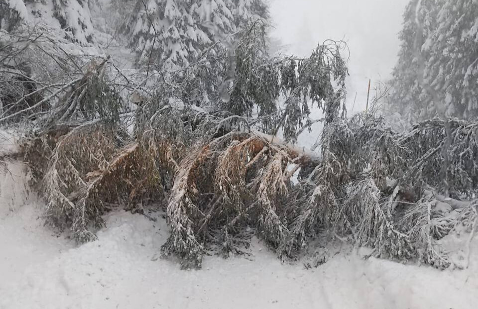 ▼ Pioggia, neve e frane: pesanti disagi nel Bresciano