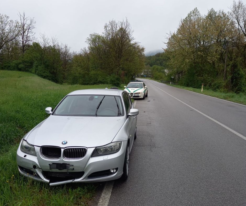 ▼ Valsabbia, Bmw tampona un… cinghiale sulla sp79