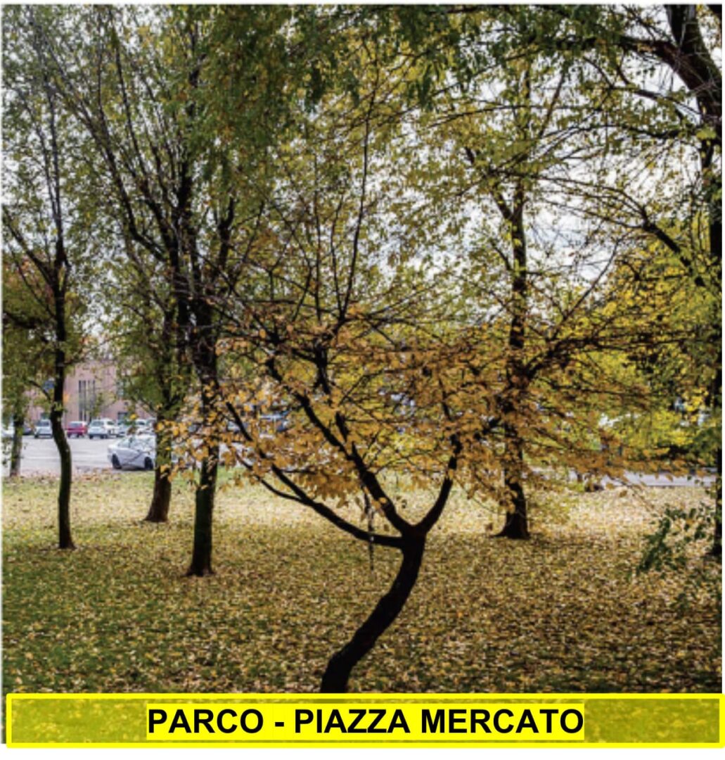 ▼ Ospitaletto, minoranze all’attacco: sì al nuovo nido, no a distruggere il parco di piazza Mercato