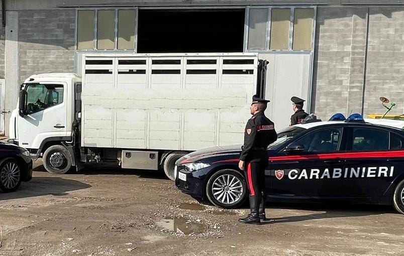 Adro, sul camion rubato forza un posto di blocco e fugge a tutta: arrestato