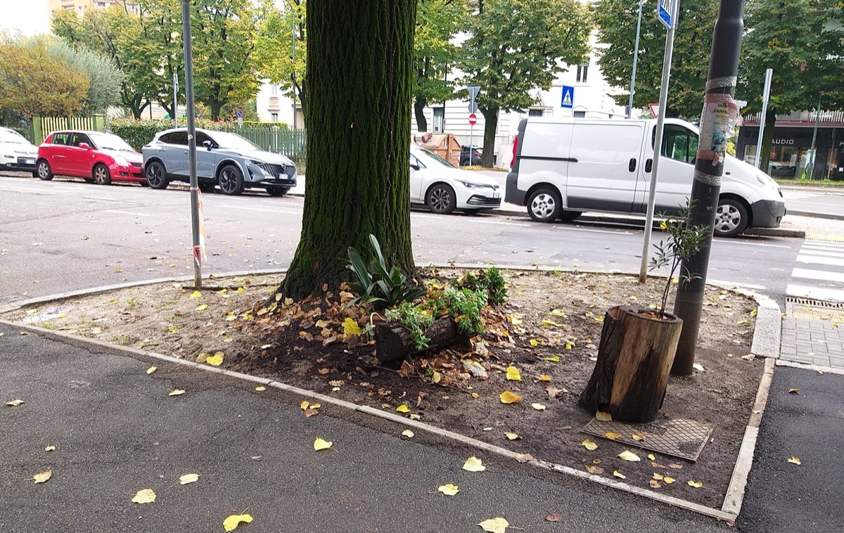 Brescia, ora anche i marciapiede diventano drenanti